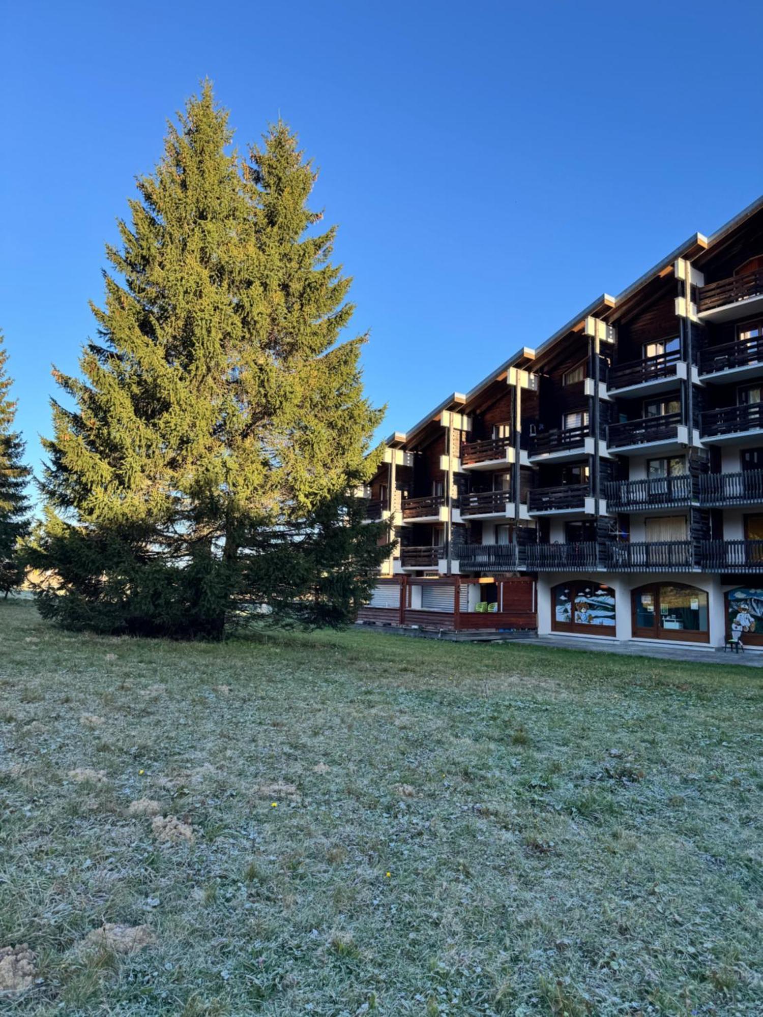 Superbe Studio De Montagne, Au Pied Des Pistes De Ski, Classe 3 Etoiles La Morte Exterior foto